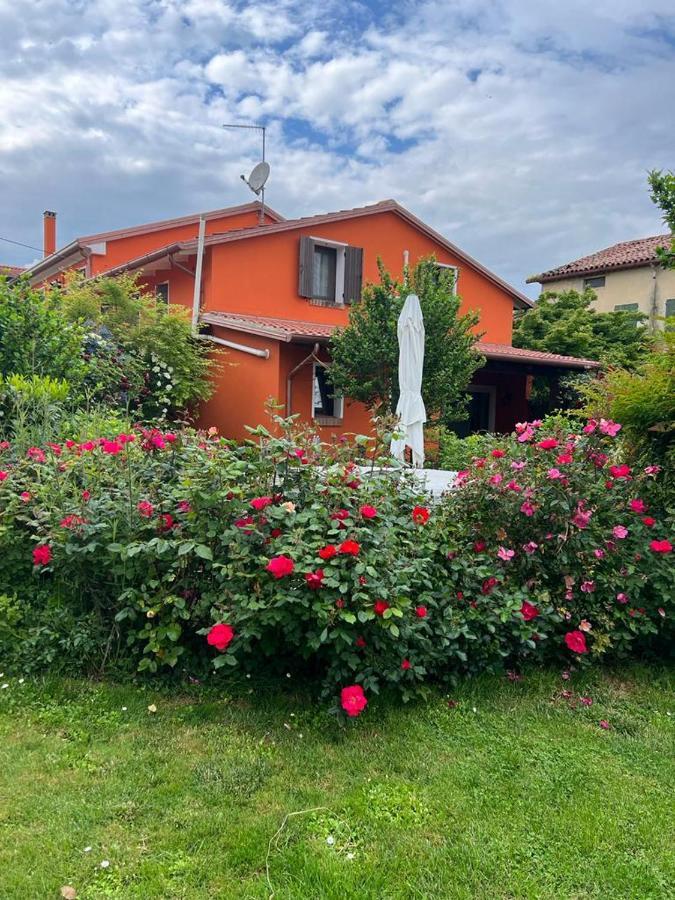 Casa Serenella B&B - Casa Vacanze Piazzola sul Brenta Ngoại thất bức ảnh